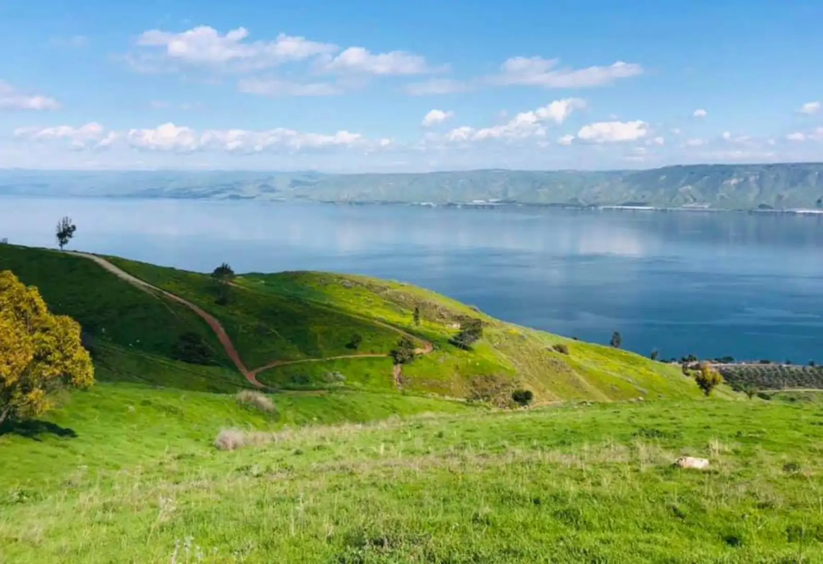 מצגת פרויקט 6.pdf-image-109